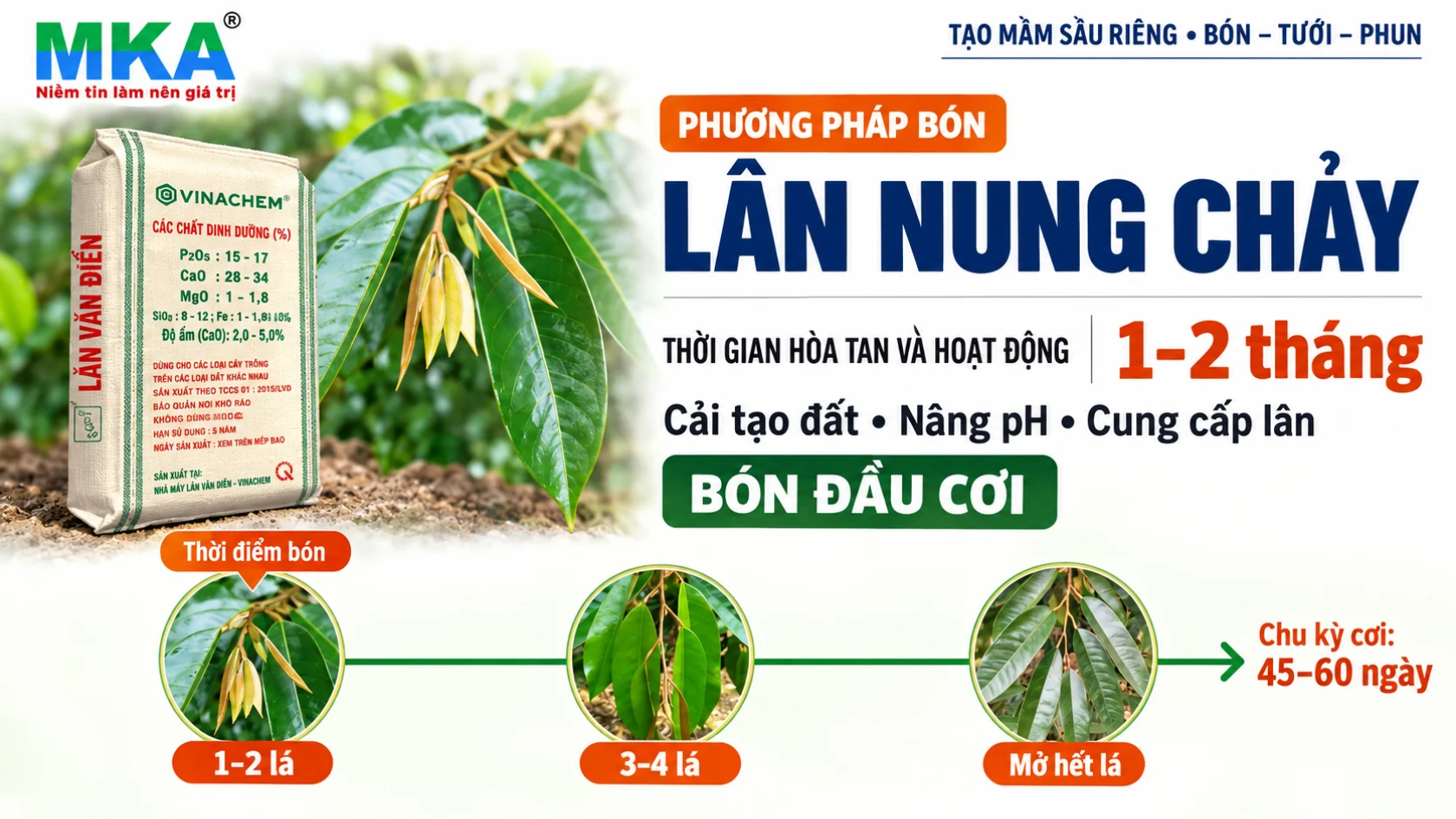 Kỹ thuật tạo mầm sầu riêng bằng Lân nung chảy